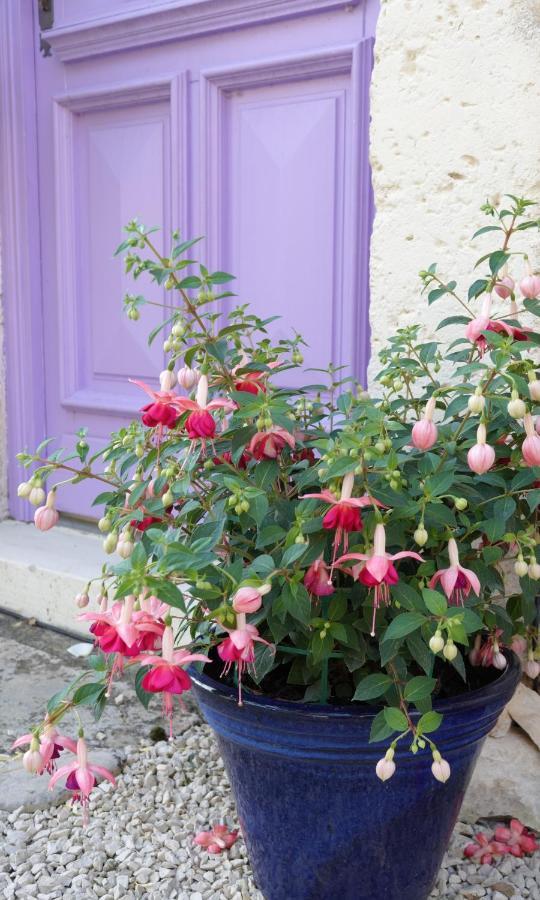 Gite Rural La Maison Mauve Ventouse ภายนอก รูปภาพ